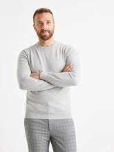 CEL Plain Vecrewflex Sweater